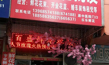 鲜花基地开启配送商城，客源翻一翻